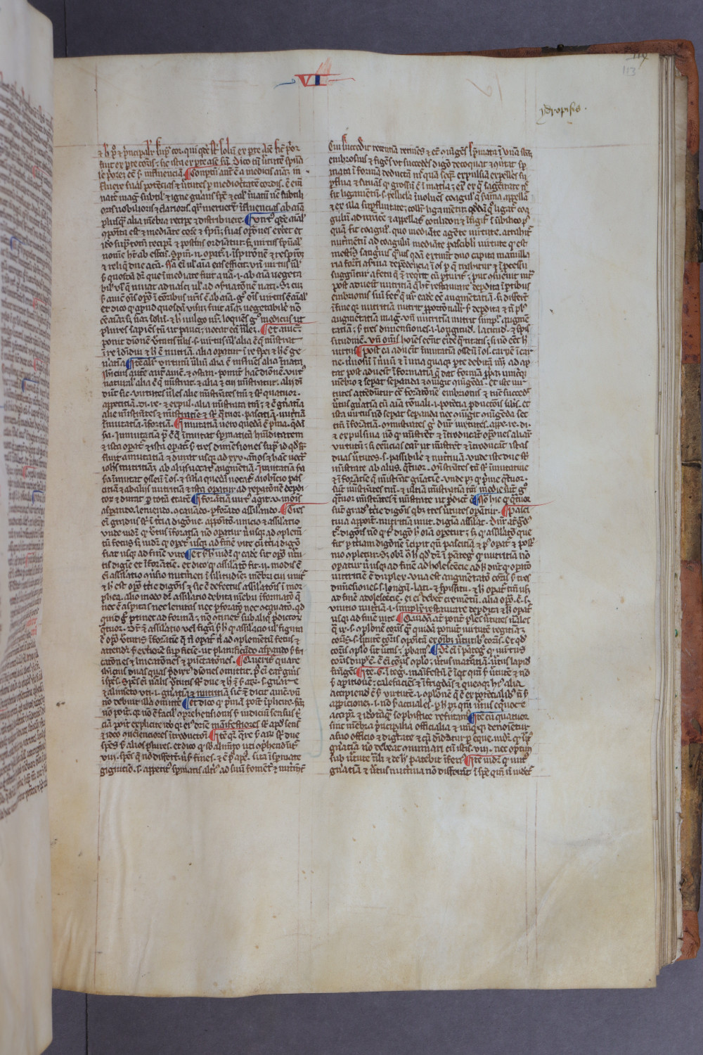 Folio 113 recto